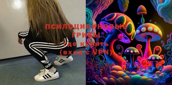 гидропоника Алзамай
