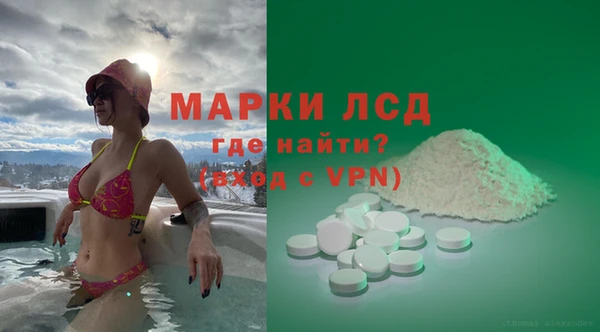 индика Алексин