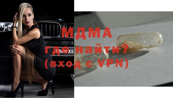 индика Алексин