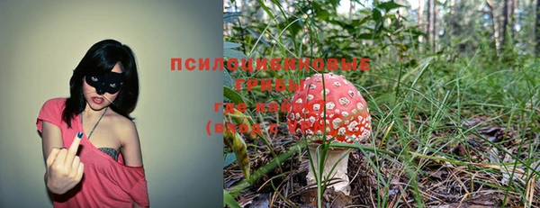 индика Алексин