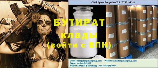 индика Алексин