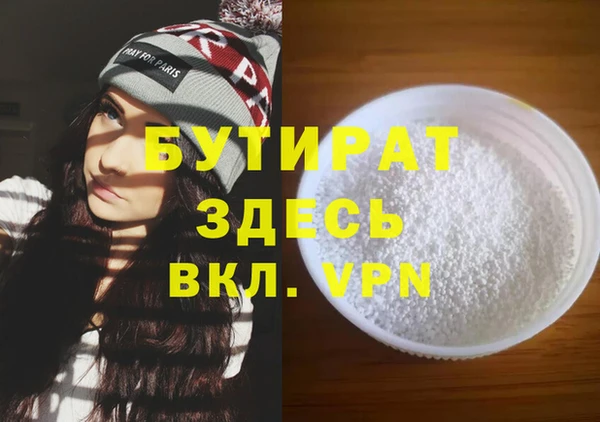 индика Алексин