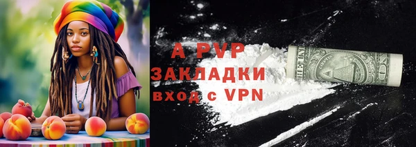 индика Алексин